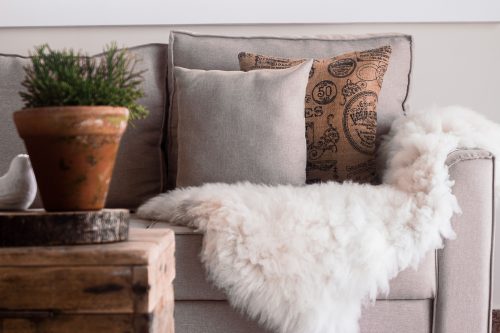 Molinis vazonas su žaliu augalu ant medinio padėklo ir pilka sofa, dekoruota pagalvėlėmis bei minkštu balto kailio kilimu